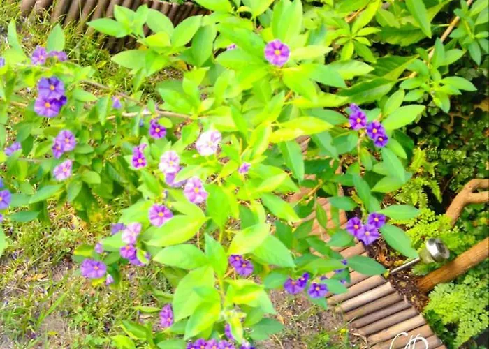 Jardin D'olisipo - Centre * ליסבון
