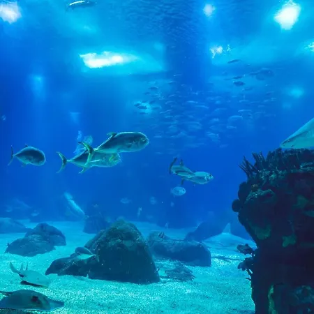 דירה Jardin D'olisipo - Centre ליסבון