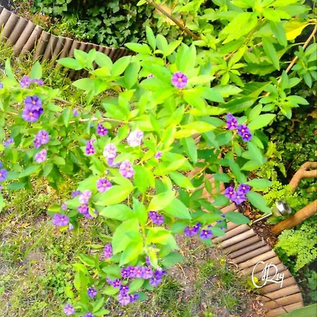 Jardin D'olisipo - Centre * Lissabon