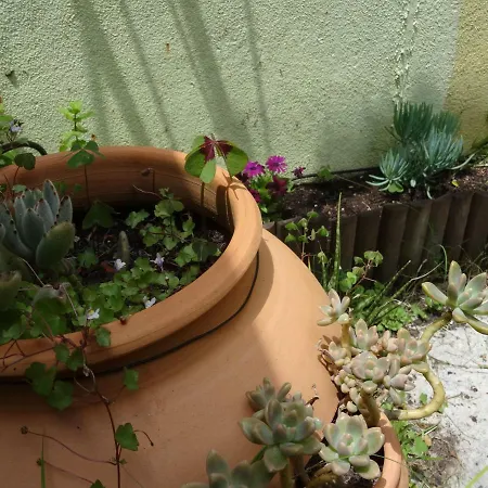 Jardin D'olisipo - Centre *