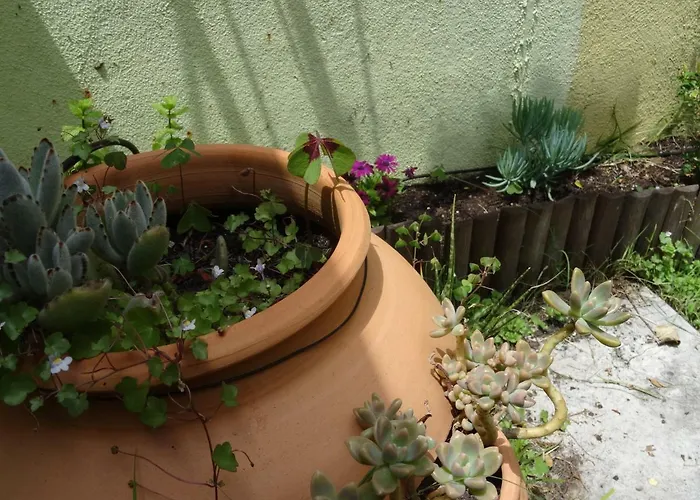 Jardin D'olisipo - Centre *